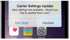 Screen shot of Carrier Settings Update window on an iPhone