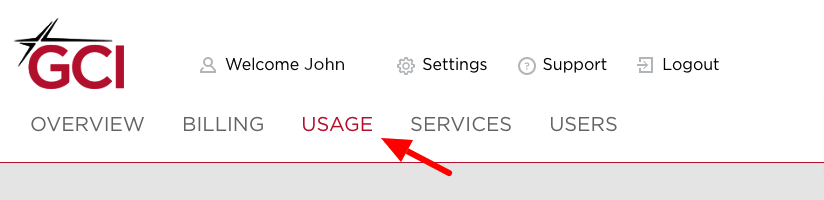 Learn how to view usage using MyGCI 