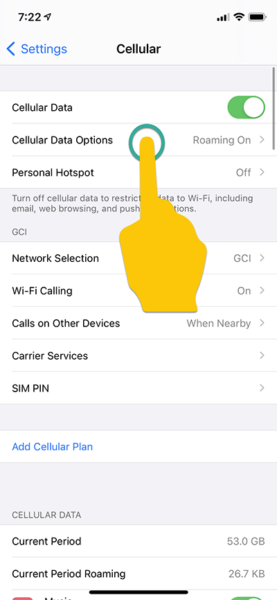 Tap 'Cellular Data Options' step to enable VoLTE on Apple devices